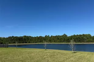 9850 Magnolia Woods Blvd, Orlando, FL 32832 - Photo 27