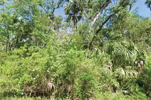 10243 W Palmetto St, Homosassa, FL 34448 - Photo 1