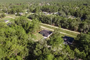 2631 W Royal Palm Dr, Citrus Springs, FL 34434 - Photo 45