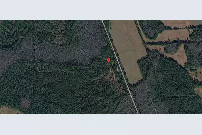 00 Van Fleet Trail, Polk City, FL 33868 - Photo 5