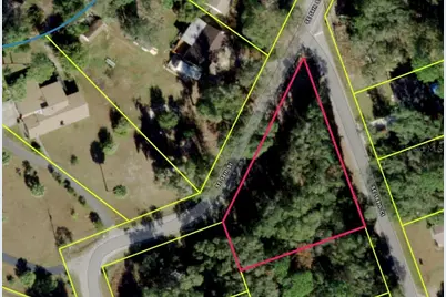 0 SE 169th Ct, Ocklawaha, FL 32179 - Photo 3