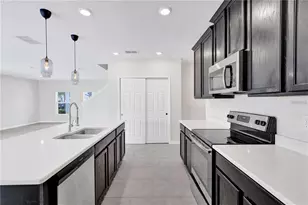 4225 Beargrass St, Clermont, FL 34714 - Photo 11