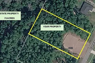 42021 Tamarac St, Eustis, FL 32736 - Photo 3