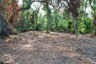 1615 NE 497th St, Old Town, FL 32680 - Photo 1