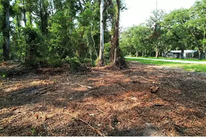 1615 NE 497th Street, Old Town, FL 32680 - Photo 3