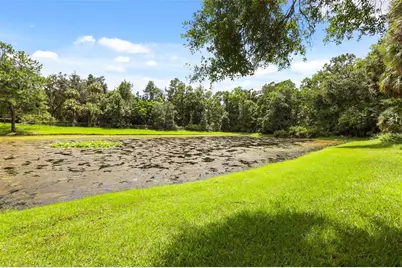 359 Vista Oak Drive, Longwood, FL 32779 - Photo 53