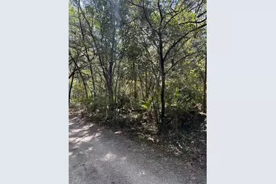 Tbd SW 152nd Place, Dunnellon, FL 34432 - Photo 3