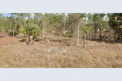 1306 Michael Avenue, Lehigh Acres, FL 33972 - Photo 3