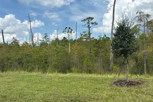 139 Heirloom Dr, Ormond Beach, FL 32174 - Photo 23