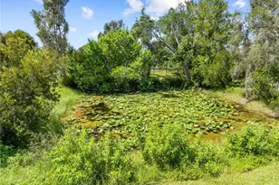 1868 Druliner Rd, Saint Cloud, FL 34771 - Photo 95