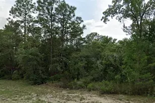 0 SW 151 Pl, Dunnellon, FL 34432 - Photo 1
