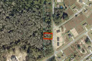 Lot 36 Oak Ln Trak Ln, Ocala, FL 34478 - Photo 1