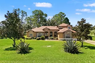 21312 Marsh View Ct, Clermont, FL 34715 - Photo 7