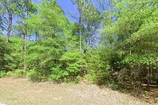 0 SW 201 St, Dunnellon, FL 34431 - Photo 1