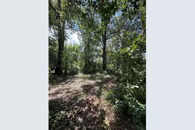 Matchett, Belle Isle, FL 32809 - Photo 3