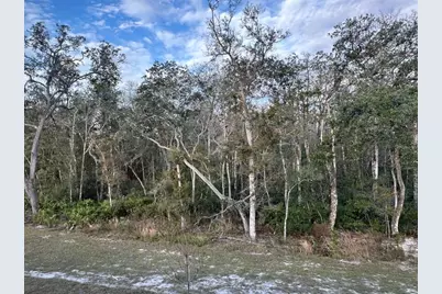 11111 Wishing Cloud Road, Land O Lakes, FL 34638 - Photo 13