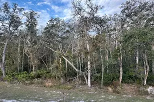 11111 Wishing Cloud Rd, Land O Lakes, FL 34638 - Photo 13