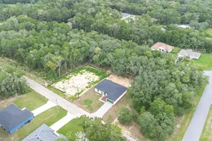 10615 N Didiscus Dr, Citrus Springs, FL 34434 - Photo 9