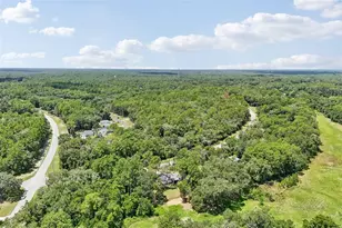 10115 N Athenia Dr, Citrus Springs, FL 34434 - Photo 45