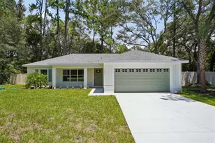 10115 N Athenia Dr, Citrus Springs, FL 34434 - Photo 1