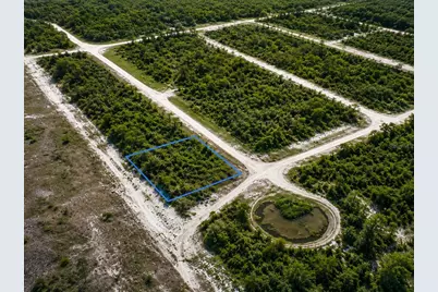 205 Phesant Boulevard, Sebring, FL 33872 - Photo 1