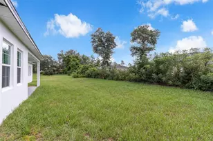 3210 SW 129th Loop, Ocala, FL 34473 - Photo 41