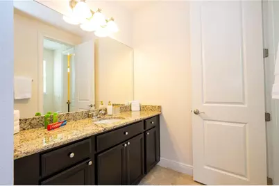 17526 Black Rail Street, Windermere, FL 34786 - Photo 63