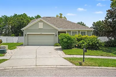 23046 Wood Violet Court, Land O Lakes, FL 34639 - Photo 1