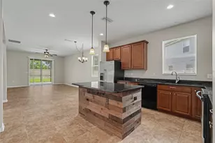 23046 Wood Violet Ct, Land O Lakes, FL 34639 - Photo 11