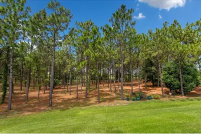 5208 Effie Drive, Apopka, FL 32712 - Photo 49