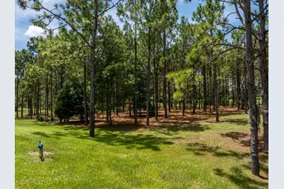 5208 Effie Drive, Apopka, FL 32712 - Photo 71