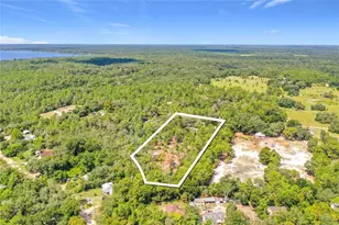 41945 Pine Valley Dr, Paisley, FL 32767 - Photo 35