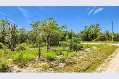 0 SE 68th Terrace, Morriston, FL 32668 - Photo 11