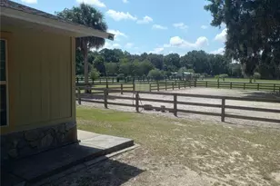 13300 NE 38th Ave, Anthony, FL 32617 - Photo 9