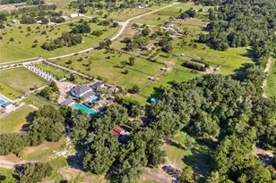 34417 Donna Vista Pl, Eustis, FL 32736 - Photo 17
