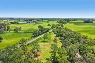 5230 NW 144th Pl, Reddick, FL 32686 - Photo 31