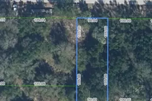 6 E Viola St, Avon Park, FL 33825 - Photo 1