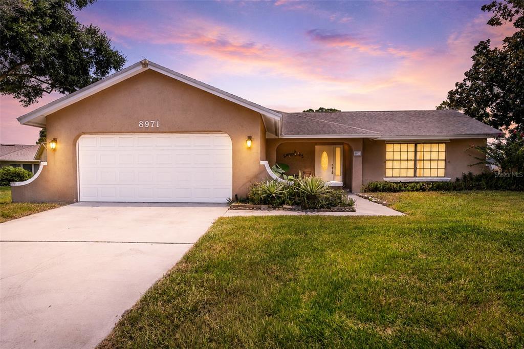 8971 Angelica Dr - 8971 Angelica Dr, Orlando, FL 32836 Luxury Property | Jose Angel Pina