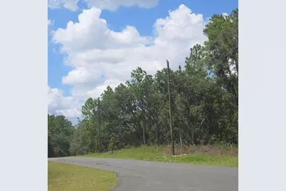 Tbd SW 62nd Ct, Ocala, FL 34470 - Photo 3