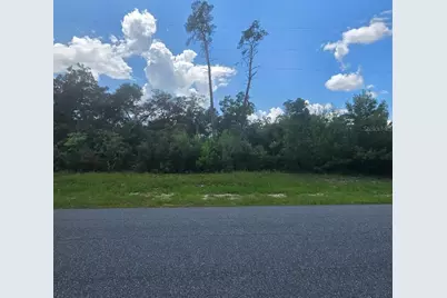 Tbd SW 22nd Terr Rd, Ocala, FL 34473 - Photo 3