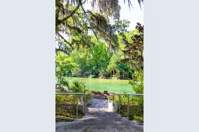 24252 NE 152nd Lane, Fort Mc Coy, FL 32134 - Photo 21