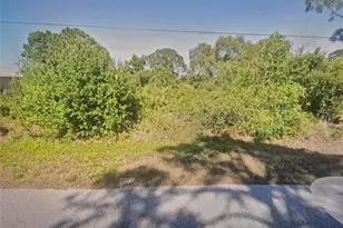 1561 Walnut Ave, Lake Placid, FL 33852 - Photo 1
