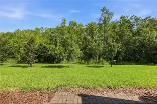 2559 Sedge Grass Wy, Orlando, FL 32824 - Photo 27