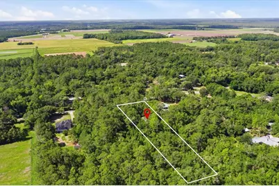 5526 Don Manuel Road, Elkton, FL 32033 - Photo 43