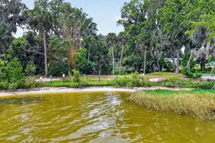 46 Palm Dr, Yalaha, FL 34797 - Photo 61