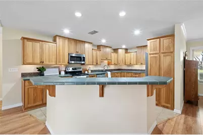 7838 Sloewood Drive, Mount Dora, FL 32757 - Photo 9