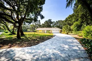 7838 Sloewood Dr, Mount Dora, FL 32757 - Photo 3