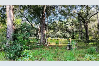 1066 Culbreath Road, Brooksville, FL 34602 - Photo 5