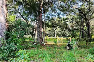 1066 Culbreath Rd, Brooksville, FL 34602 - Photo 5
