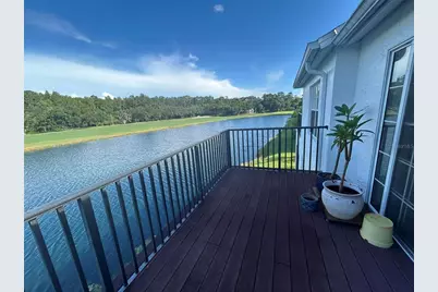 10314 Saville Rowe Lane, Tampa, FL 33626 - Photo 21
